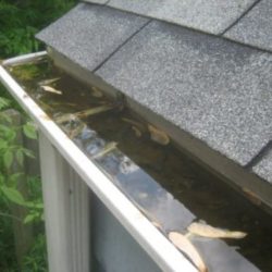 Your gutters may look like this!