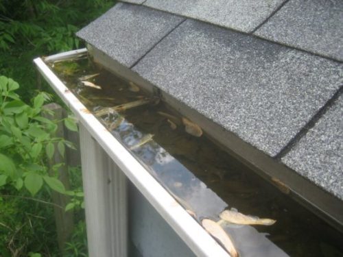 Your gutters may look like this!